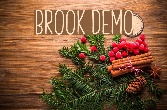 Brook Demo Font examples