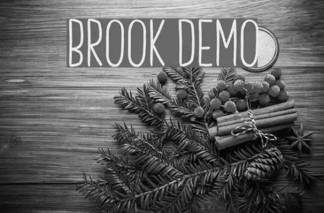 Brook Demo Font examples
