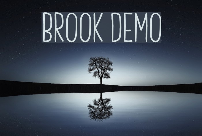 Brook Demo Font examples