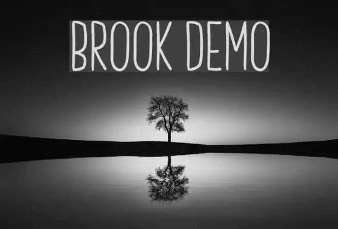 Brook Demo Font examples