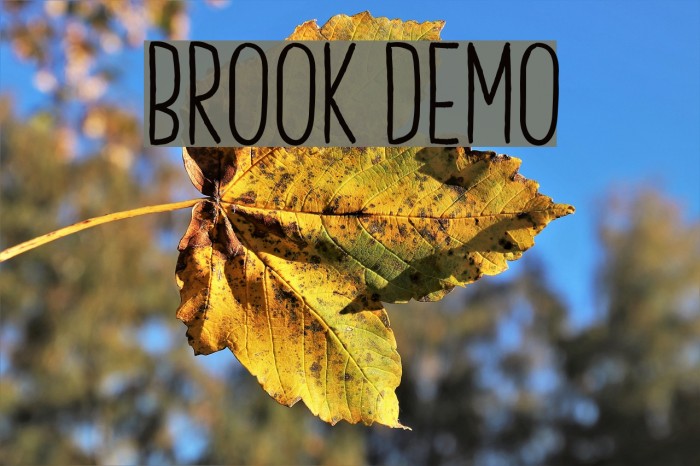 Brook Demo Font examples