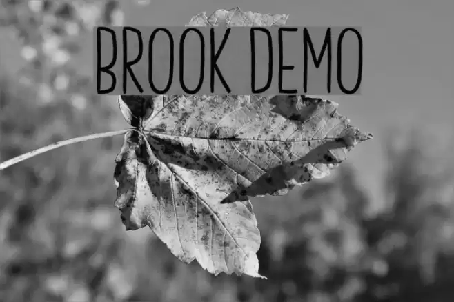 Brook Demo Font examples