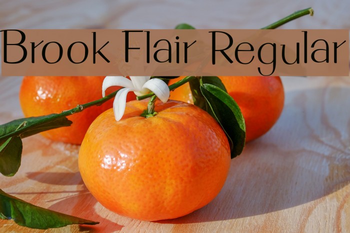 Brook Flair Regular Example 1
