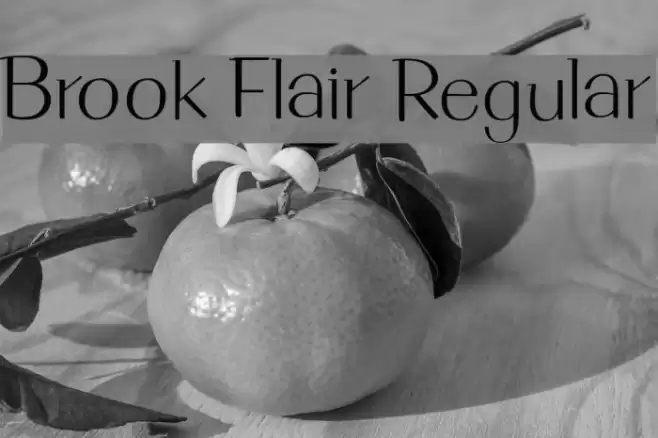 Brook Flair Regular Font examples