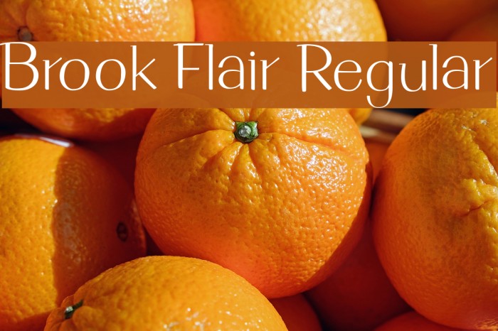 Brook Flair Regular Example 2