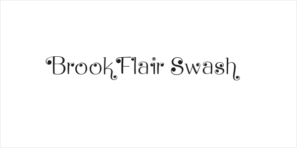 Brook Flair Swash Logo