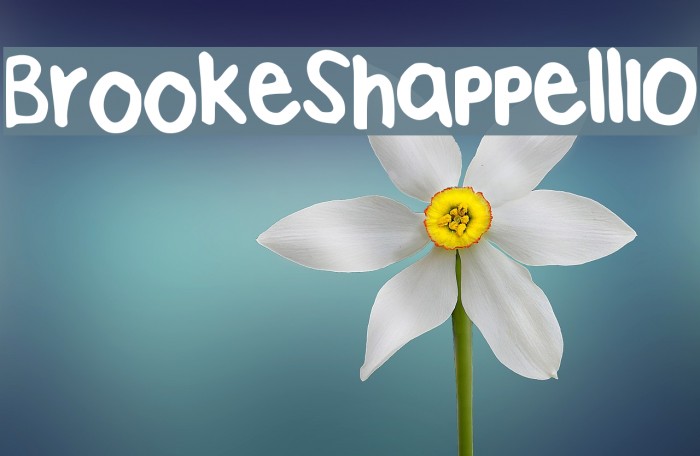 BrookeShappell10 Font examples