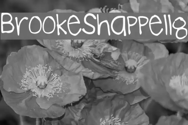 BrookeShappell8 フォント examples