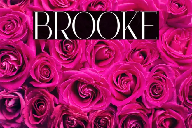 Brooke Example 1