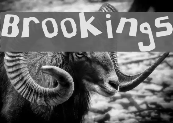 Brookings Font examples