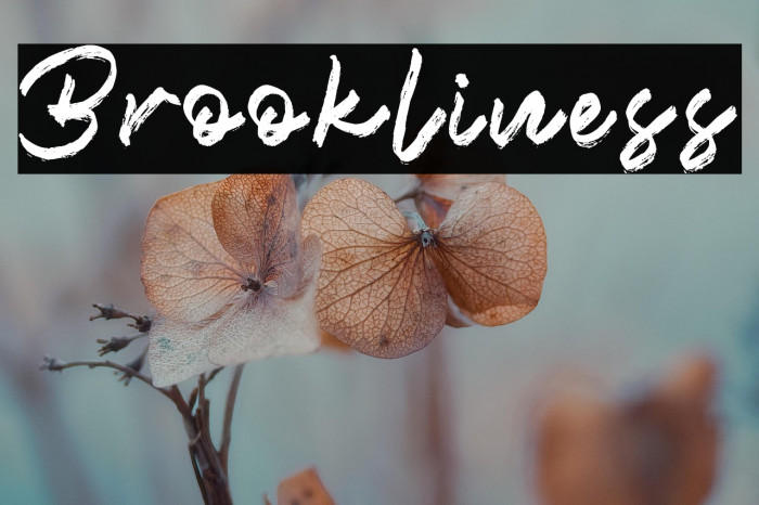 Brookliness Example 1