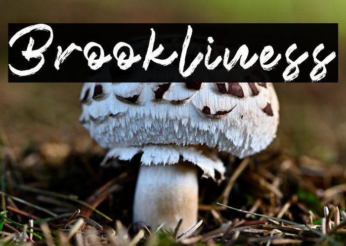 Brookliness Example 2