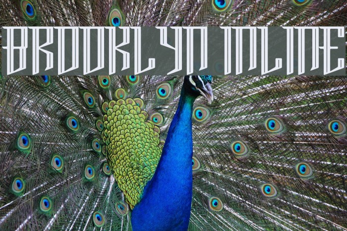 Brooklyn Inline Example 1