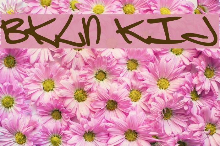 Brooklyn Kid Font examples