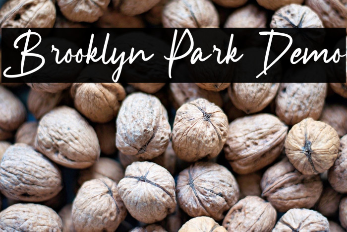 Brooklyn Park Demo Example 1