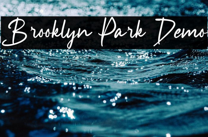 Brooklyn Park Demo Example 2