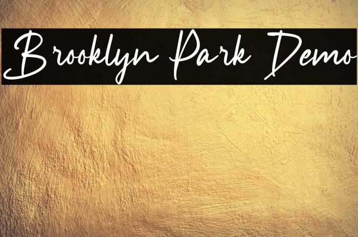 Brooklyn Park Demo Example 3