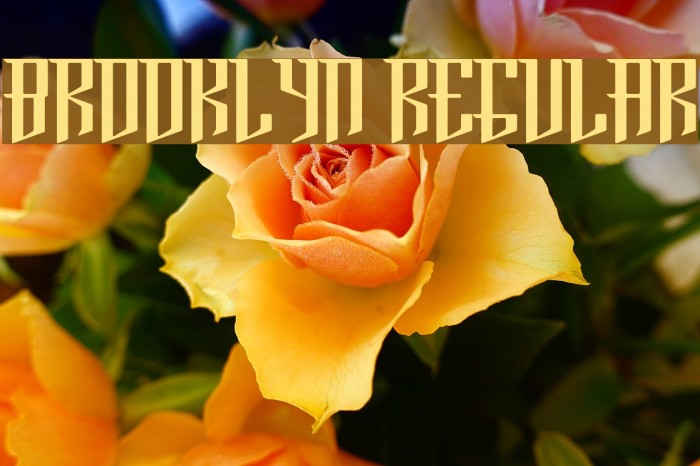Brooklyn Regular Font examples