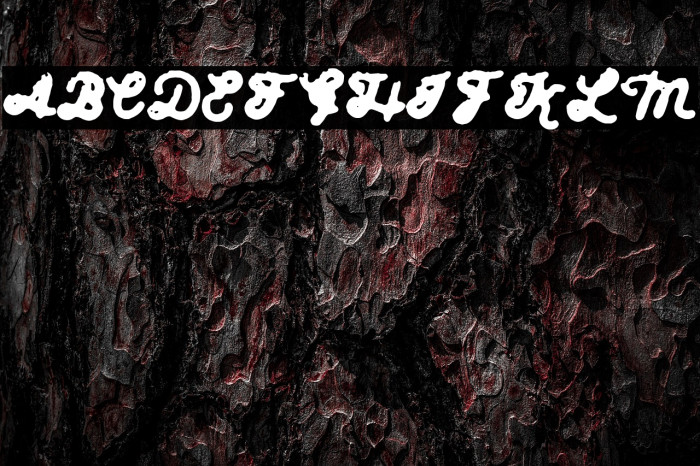 Brooklyn Shop Example 2