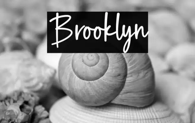 Brooklyn Font examples