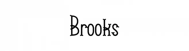 Brooks  Скачать бесплатные шрифты