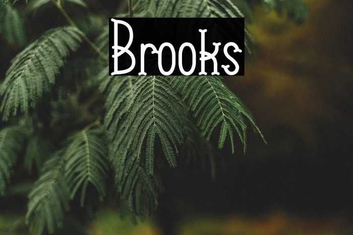 Brooks Example 1