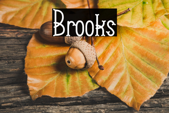 Brooks Example 2