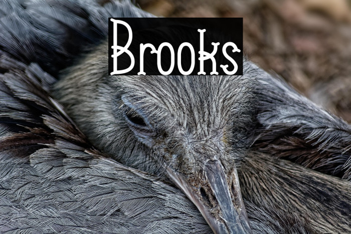 Brooks Example 3