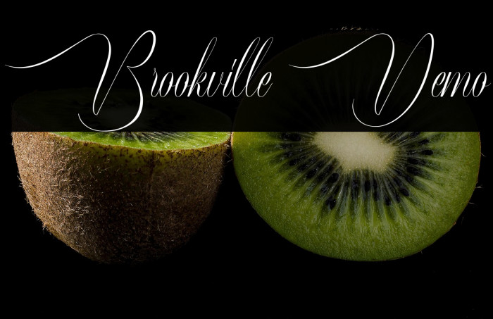 Brookville Demo Example 2