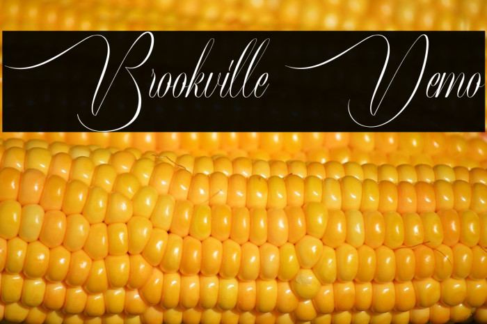 Brookville Demo Example 3