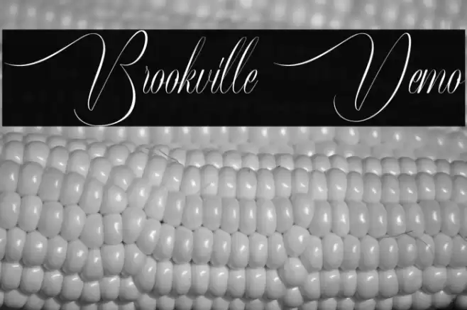 Brookville Demo Font examples
