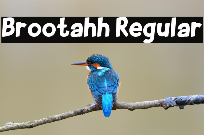 Brootahh Regular Example 2