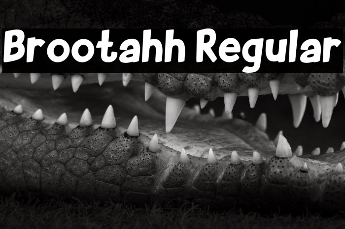 Brootahh Regular Example 3