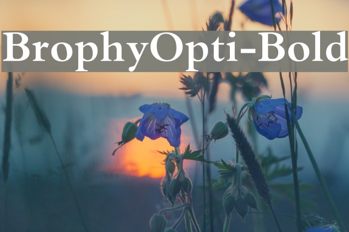 BrophyOpti-Bold Font examples