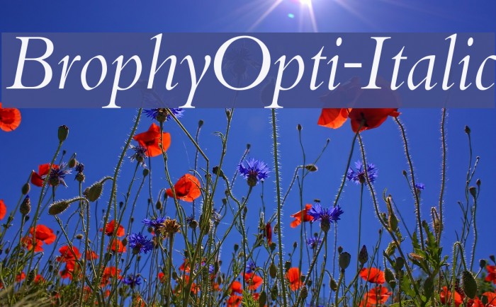 BrophyOpti-Italic Font examples
