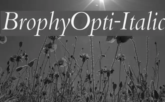 BrophyOpti-Italic examples