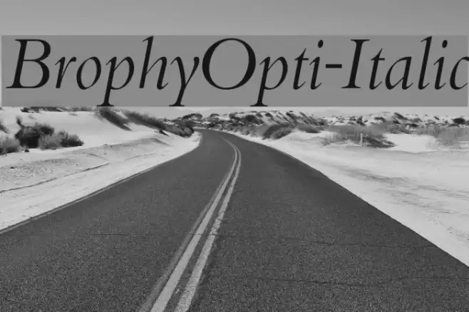 BrophyOpti-Italic examples