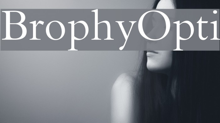 BrophyOpti Font examples