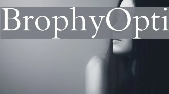 BrophyOpti Example 1