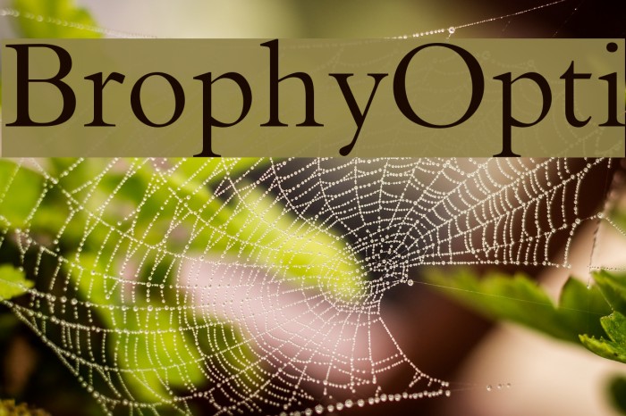 BrophyOpti Font examples