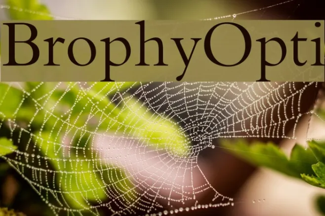 BrophyOpti Example 2