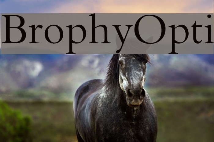 BrophyOpti Font examples