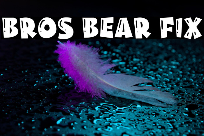 Bros Bear Fix Example 1