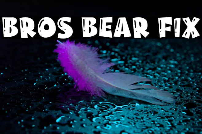 Bros Bear Fix Example 1