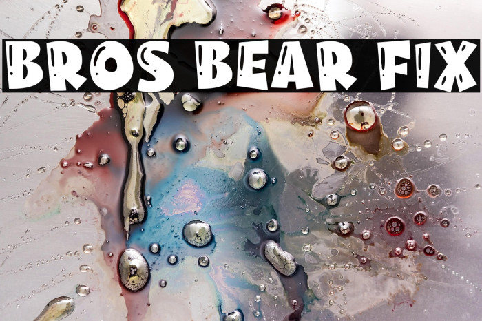 Bros Bear Fix Example 2