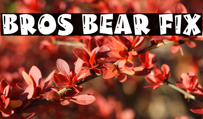 Bros Bear Fix Example 3