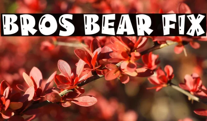 Bros Bear Fix Example 3