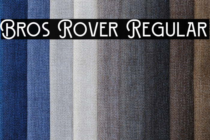 Bros Rover Regular Example 1