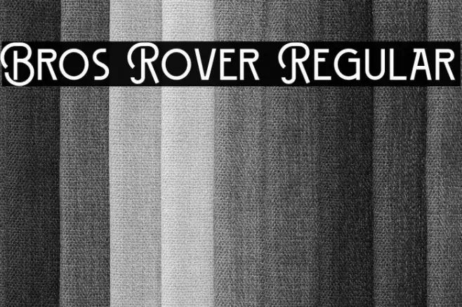 Bros Rover Regular Font examples