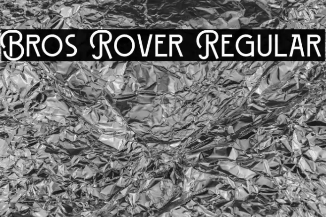 Bros Rover Regular Font examples